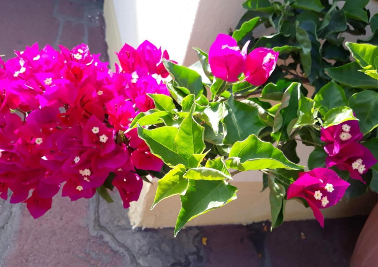 Casa Lupino Apartment Orosei Ngoại thất bức ảnh